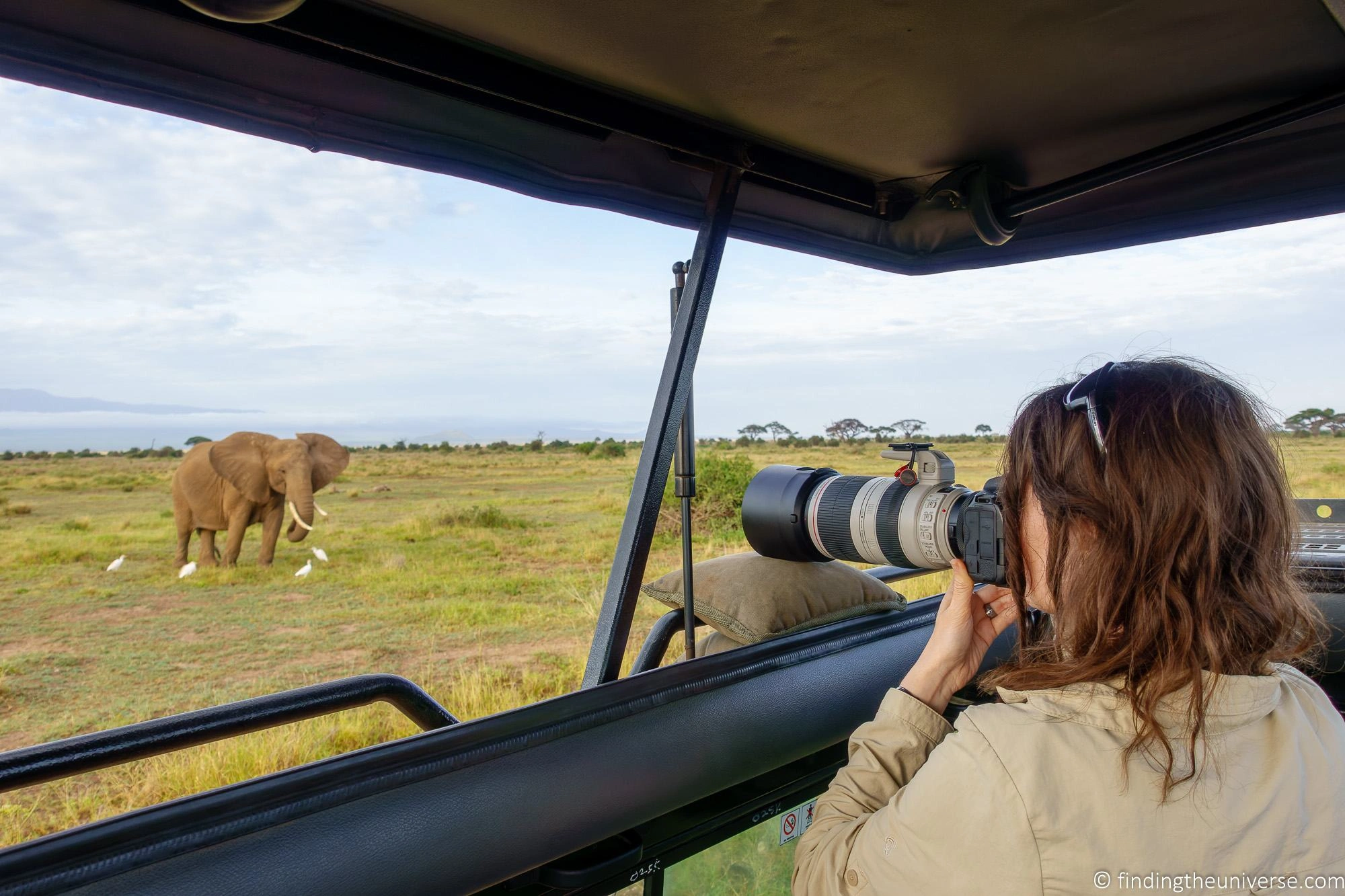 Safari-Werkzeuge und -Ausrüstung