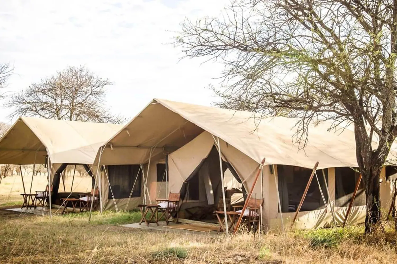 3-tägige Serengeti-Campingsafari ab Arusha