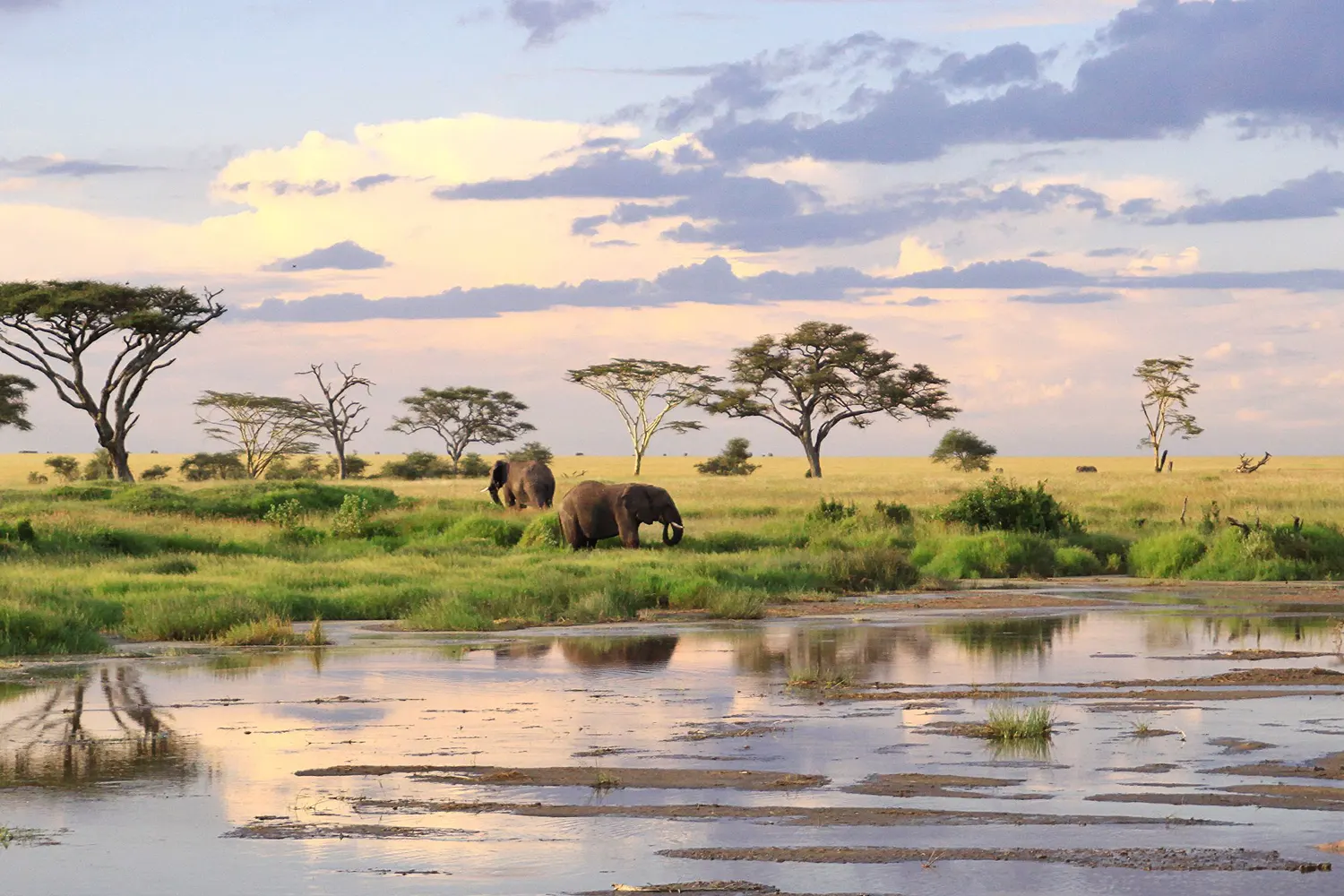 6 Tage Serengeti-Campingsafari