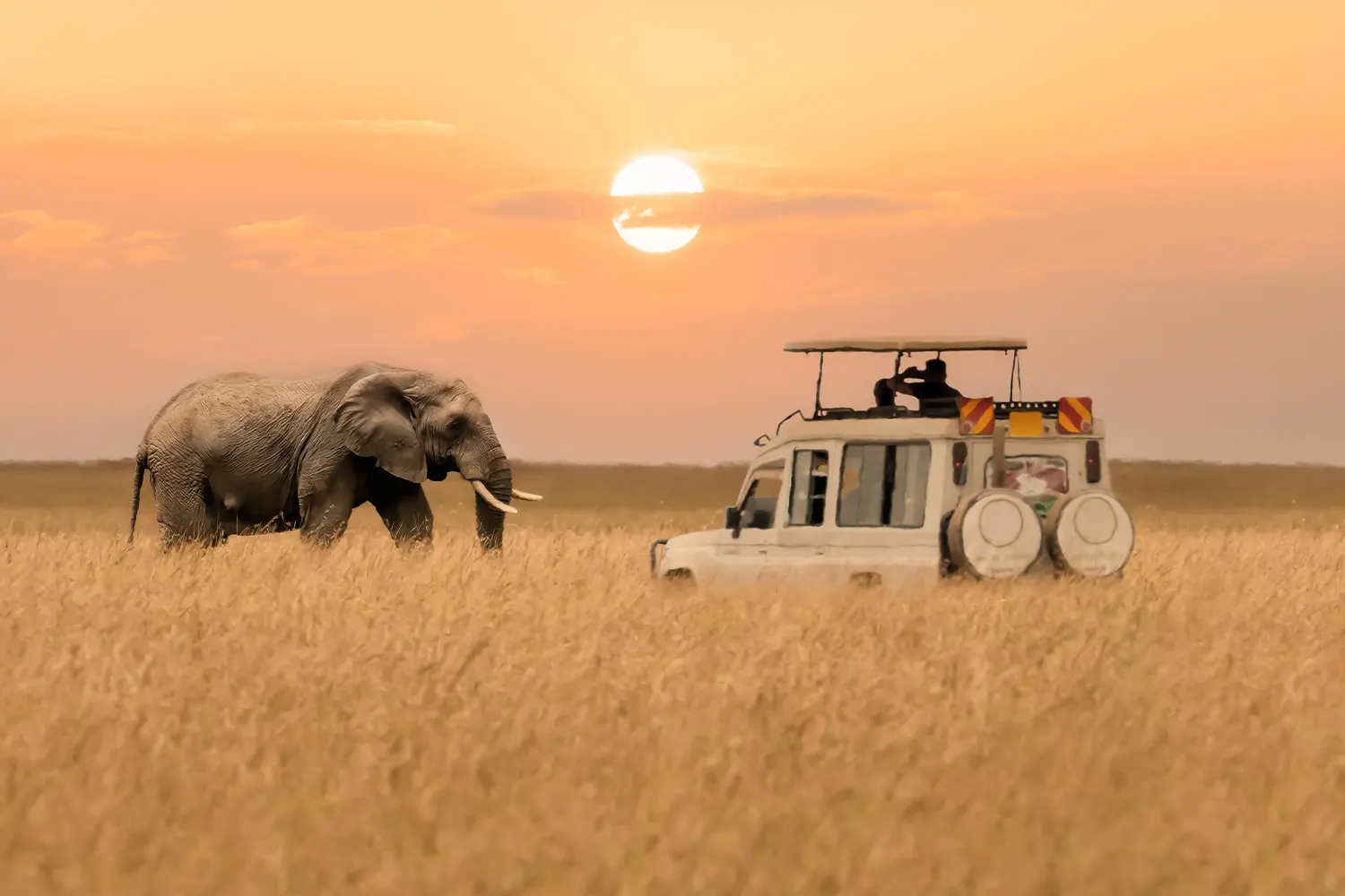 Sicherheitstipps für Tansania-Safaris