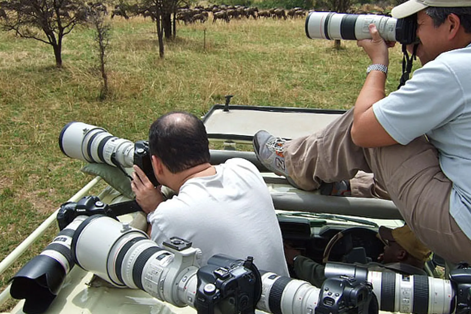 Tansania Fotografie-Safari