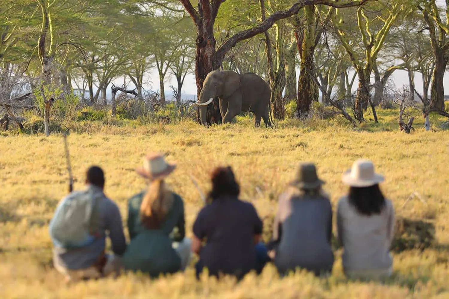 Tanzania Safari Naturschutzbemühungen