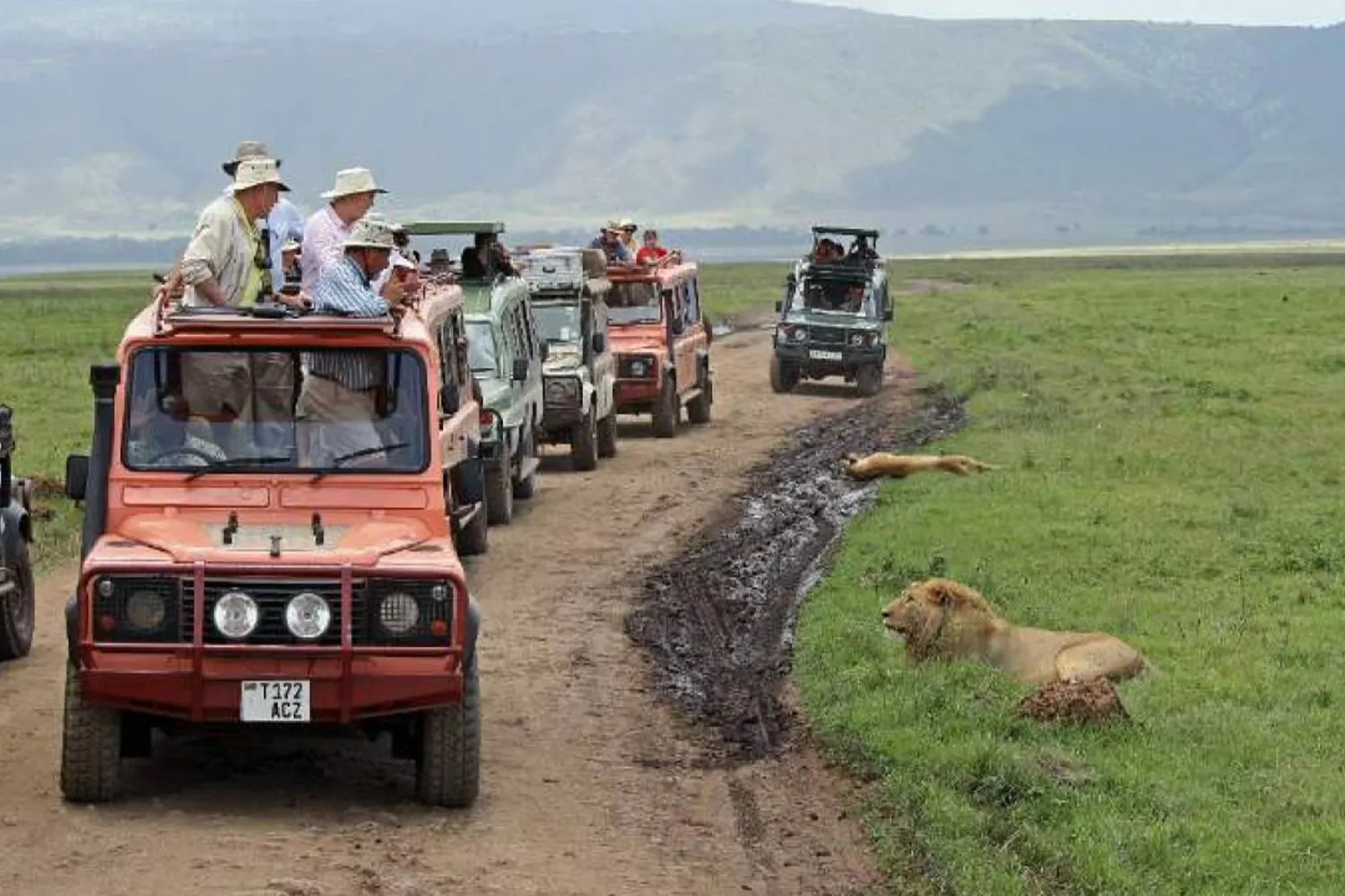 Ngorongoro-Tagesausflug mit Safari