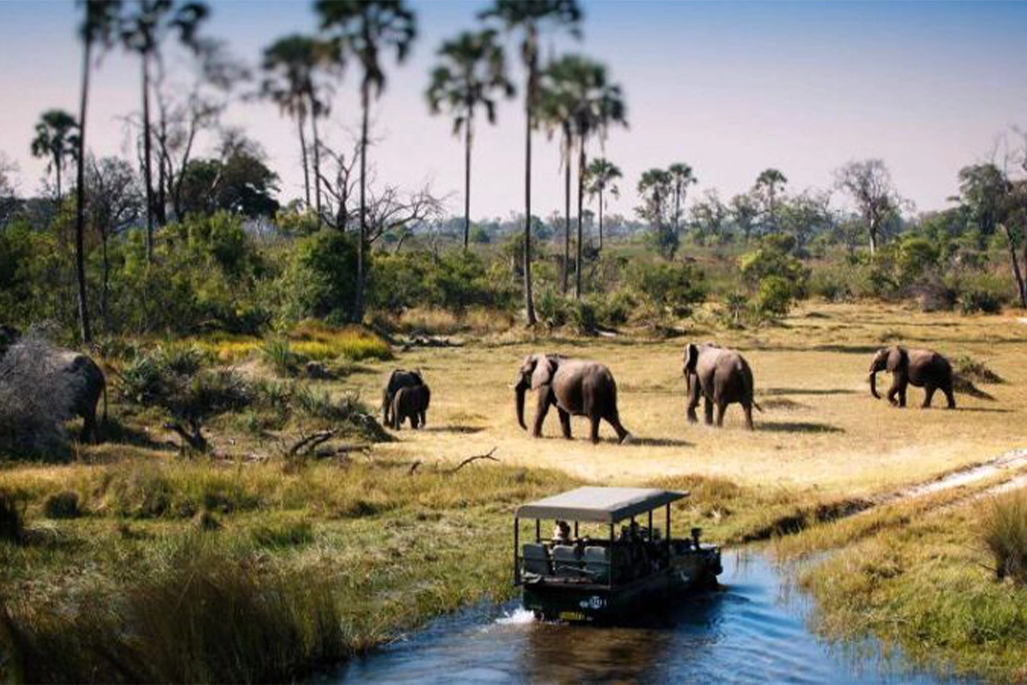 Tarangire-Tagesausflug, private Safari