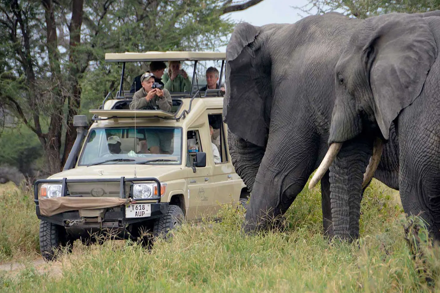 Die besten privaten Tansania-Safari-Reisepakete