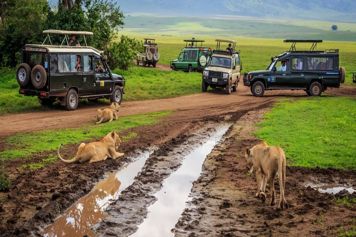 5-tägige Teilnahme an einer Safari in Tansania