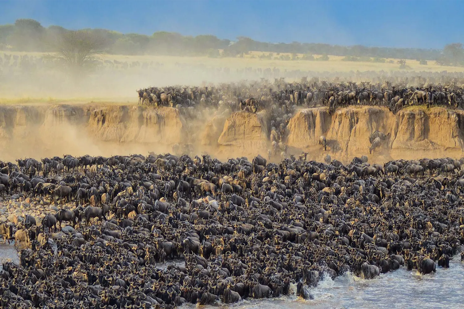 Die beste Zeit, um die Überquerung des Serengeti Migration River zu sehen