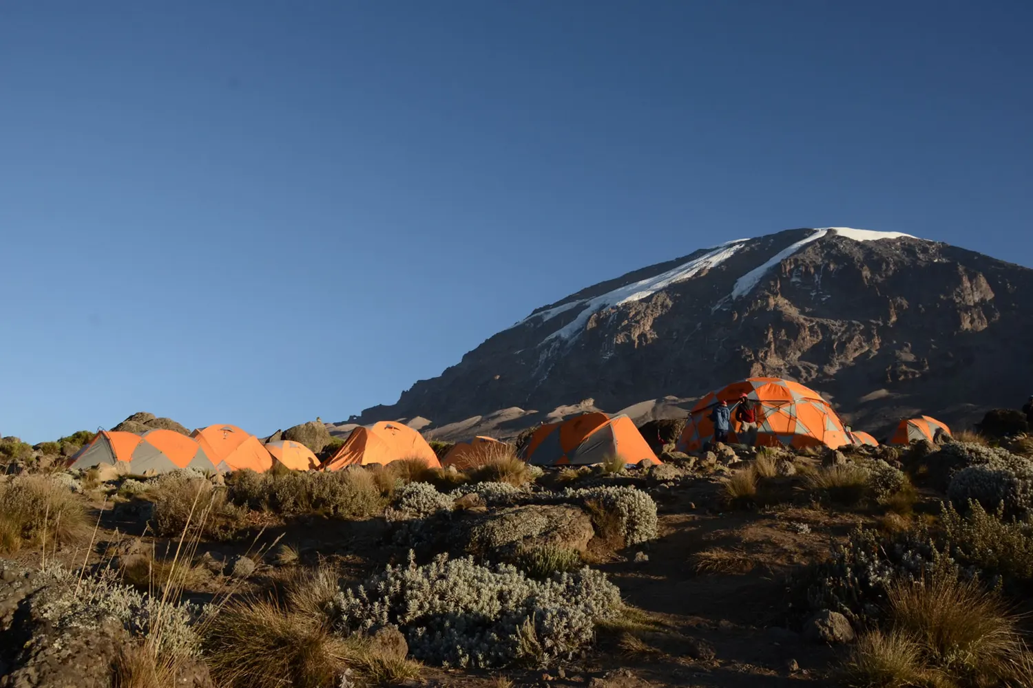 7 Tage Kilimandscharo-Klettertour Machame-Route-Paket 