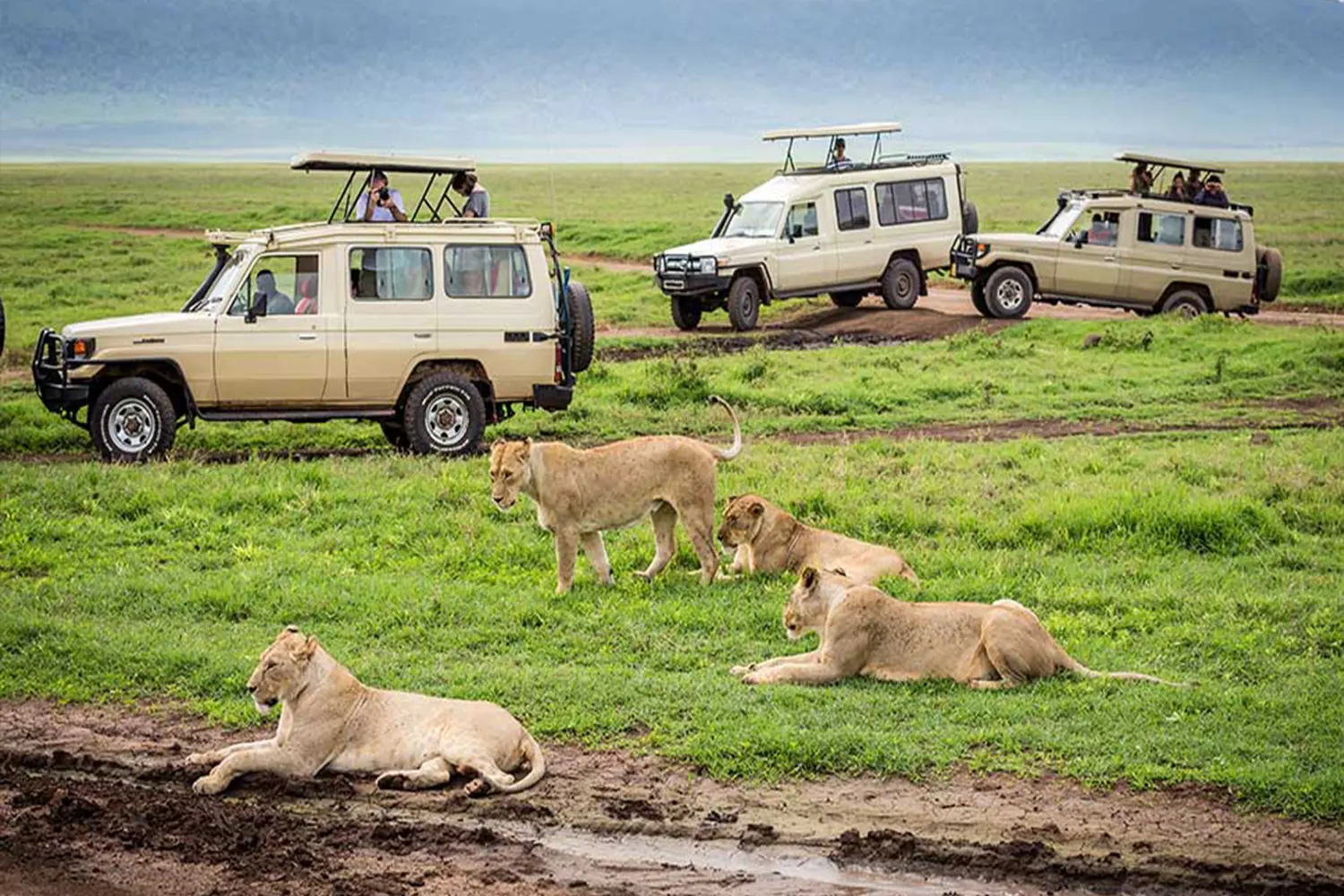 2 Tage private Safari nach Tarangire und Ngorongoro