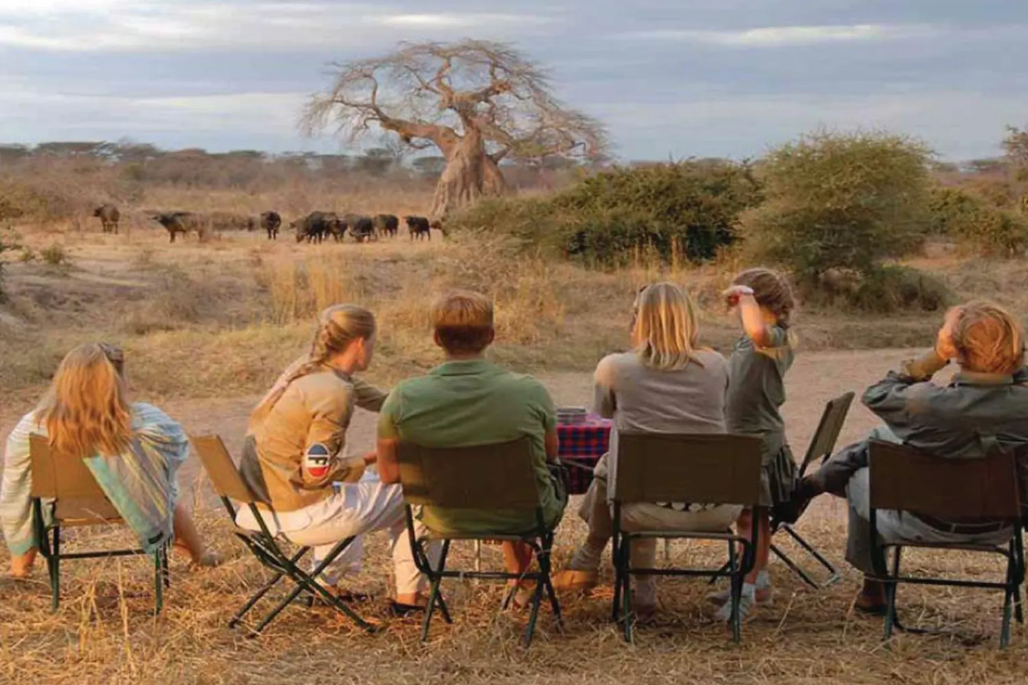 Safari im Süden Tansanias