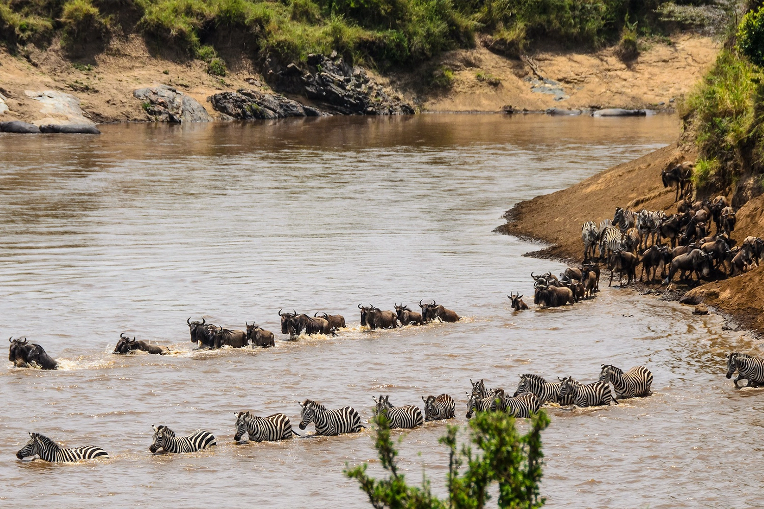 14-tägiges Ruanda-Safari-Tourpaket