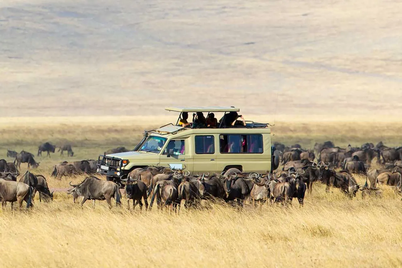 DIE GROSSE Serengeti-MIGRATIONSSAFARI IN TANSANIA