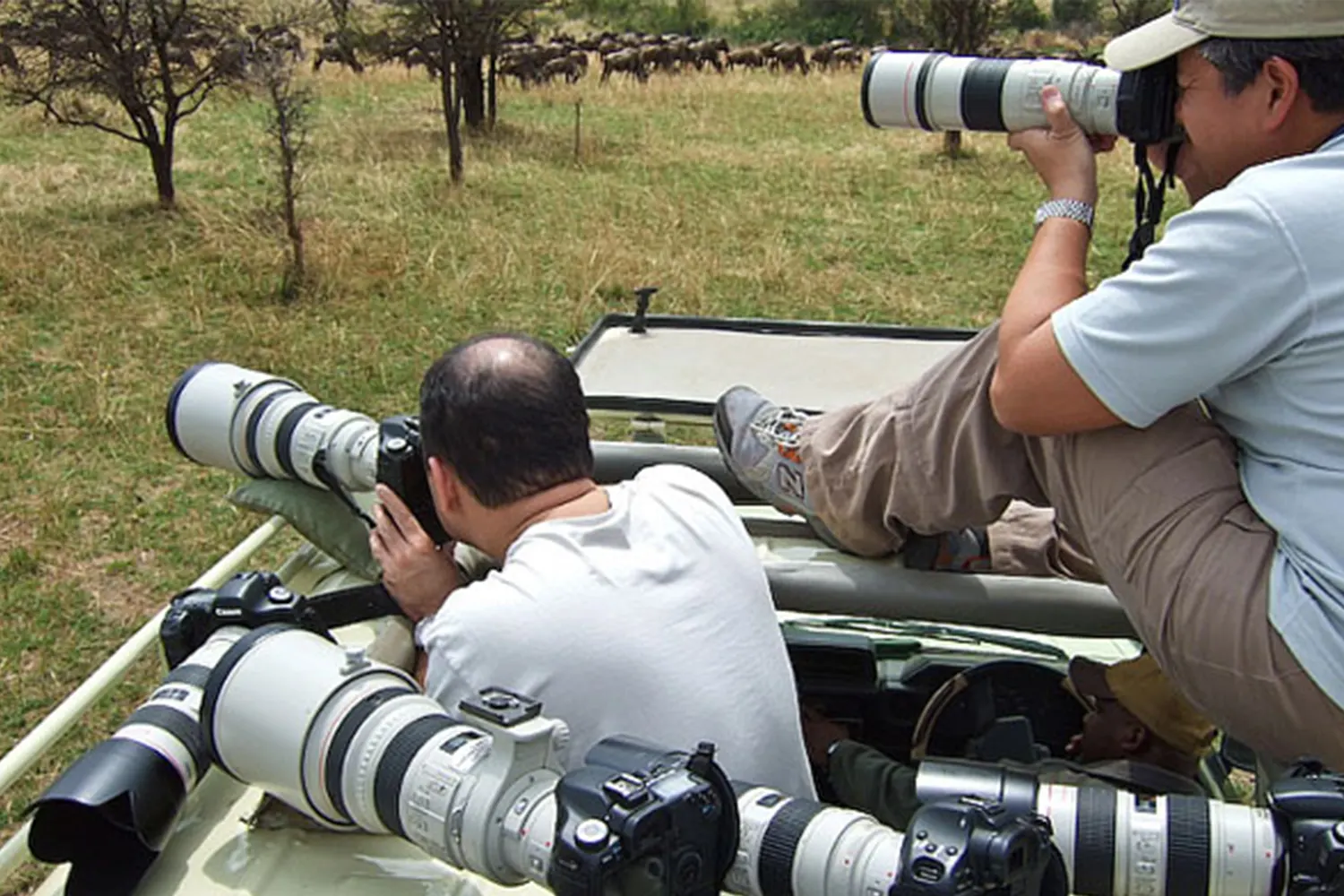 4-tägiges Serengeti-Fotoabenteuer