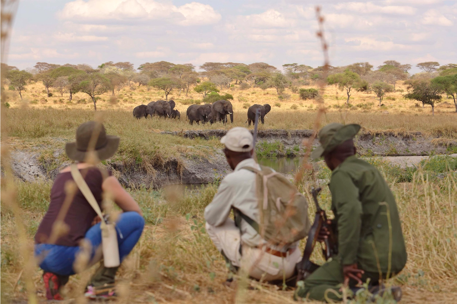 Tarangire Wandersafari