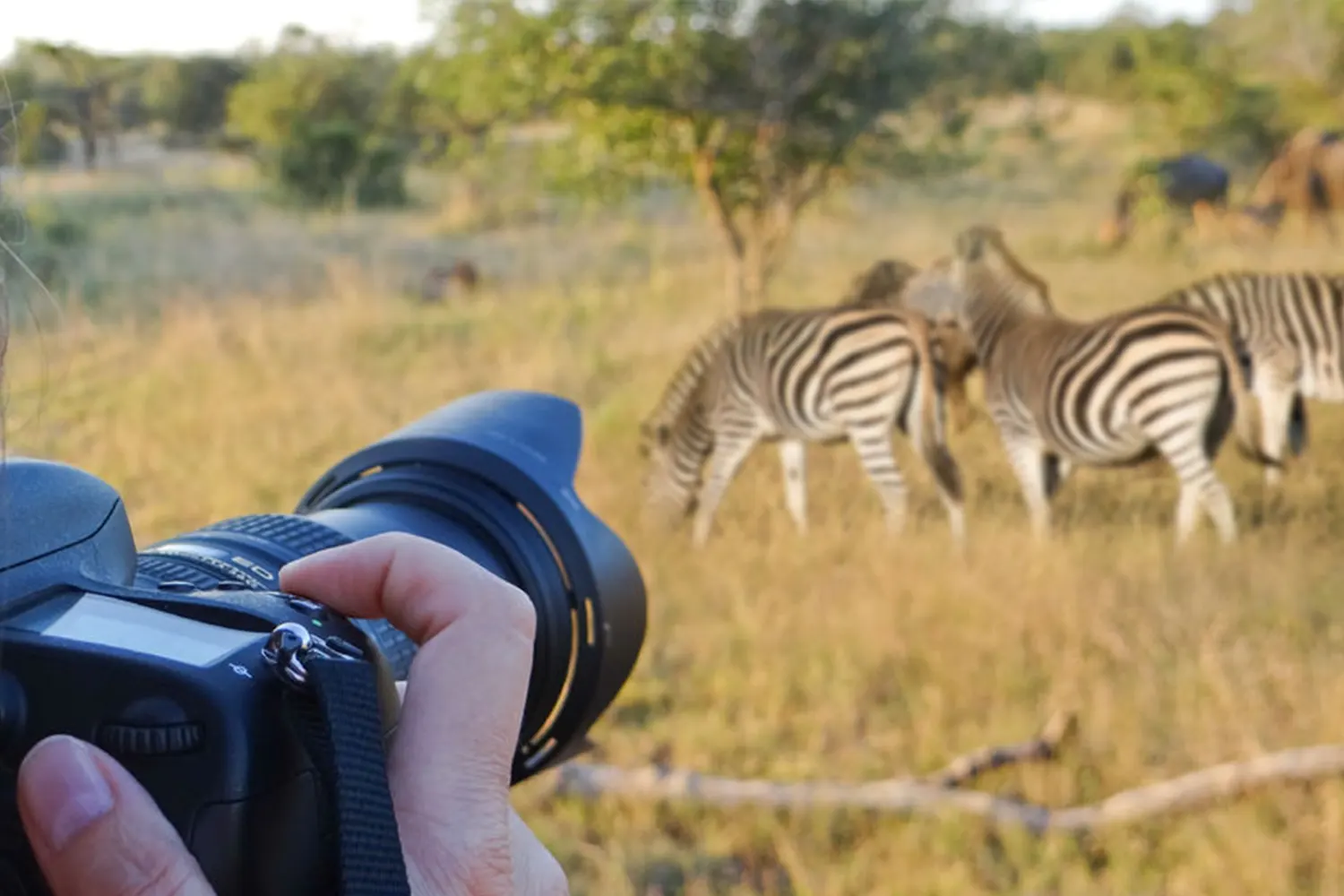 8-tägige Tarangire Wildlife Expedition